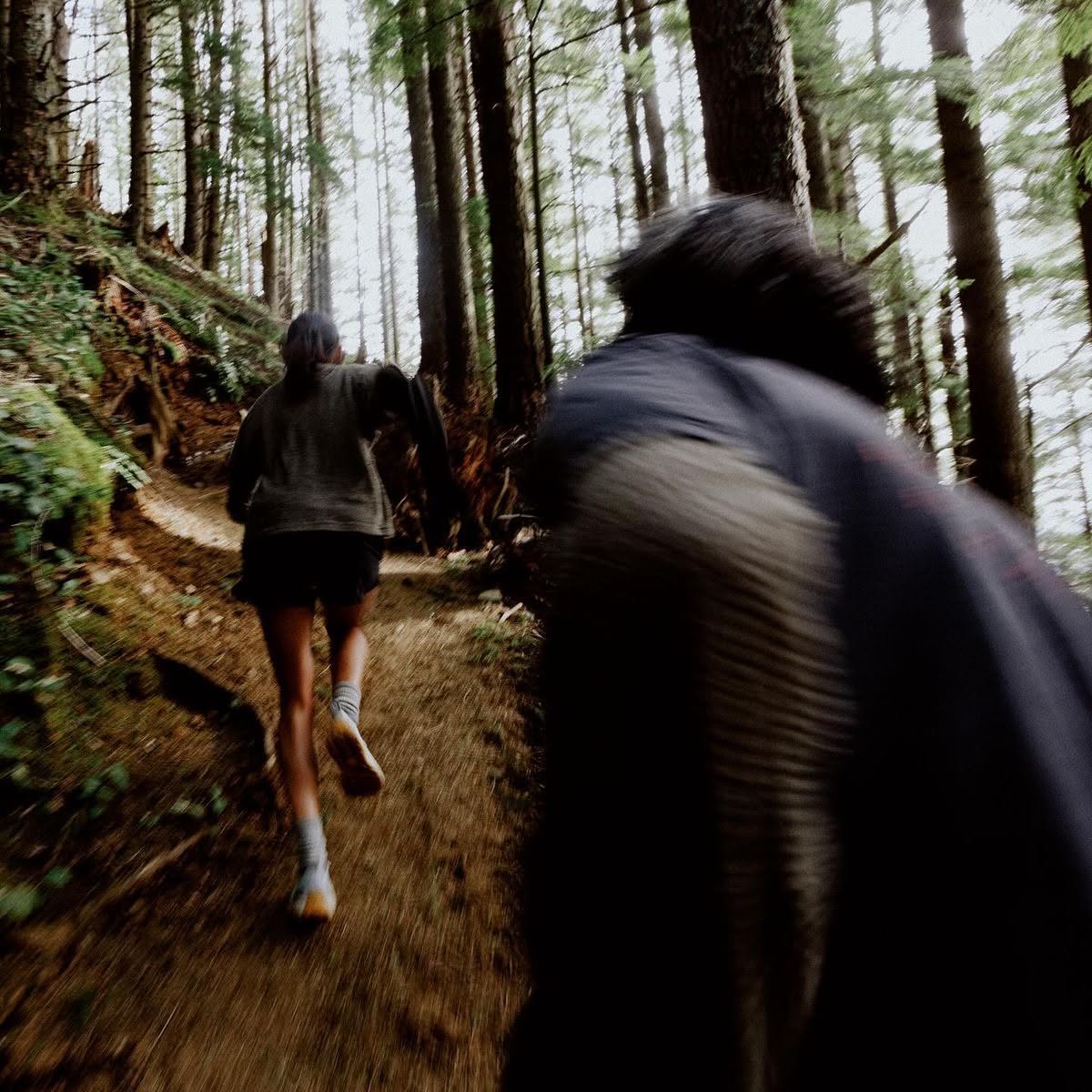 Runners following a forest trail